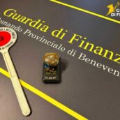 Benevento, contributi agricoli non spettanti: GdF scopre irregolarità in un’azienda zootecnica