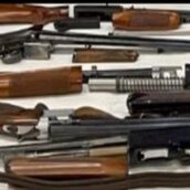 Arrestato 27enne georgiano per furto aggravato di armi e preziosi: operazione congiunta delle Squadre Mobili di Avellino e Napoli