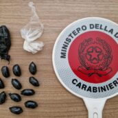 Benevento, controlli straordinari dei Carabinieri: un arresto per droga, denunce e sequestri