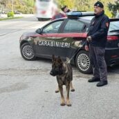Movida sicura: a Mirabella Eclano oltre 160 controlli, due denunce per guida sotto effetto di alcool e droga