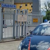 Montella, cavallo investito e ucciso sulla strada Ofantina
