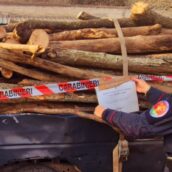 Furto di legna in area protetta, scatta il sequestro a Monteforte Irpino