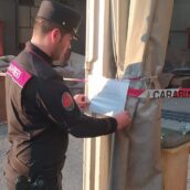 Rotondi, denunciata titolare di meccatronica: violazioni ambientali e lavoro in nero