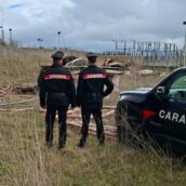 Bisaccia, incendio doloso e furto di cavi, denunciato un uomo del posto