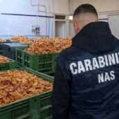 Controlli NAS su dolci di Carnevale: sequestri e sospensioni tra Sannio e Irpinia