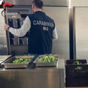 Controlli NAS tra Salerno, Avellino e Benevento: chiusi tre opifici e sequestri di alimenti