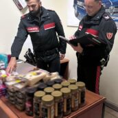 Atripalda, furto al supermercato: denunciata coppia con merce per 500 euro
