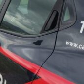 Monteforte Irpino, maltrattamento di animali: due denunciati dai Carabinieri