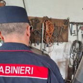 Scarichi illegali e officine senza autorizzazioni: blitz dei Carabinieri in provincia di Avellino