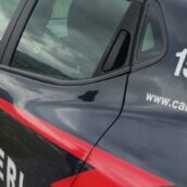 Pascolo abusivo su terreni demaniali: denunciato 53enne, 50 bovini sequestrati in Irpinia