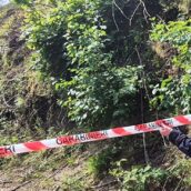 Monteforte Irpino, taglio abusivo di castagneto: denunciato 50enne