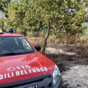 Incendi in tutta l’Irpinia: da Ariano a Forino, giornata critica per i Vigili del Fuoco