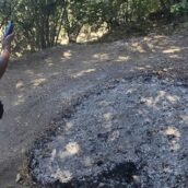 Abbruciavano residui vegetali nonostante il divieto: sei denunciati dai Carabinieri Forestali in Irpinia