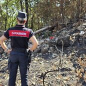 Incendi boschivi a Greci, scattano le indagini dei Carabinieri Forestali