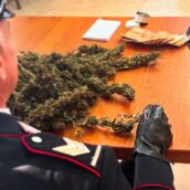 Airola, marijuana in casa: arrestato dai Carabinieri un uomo